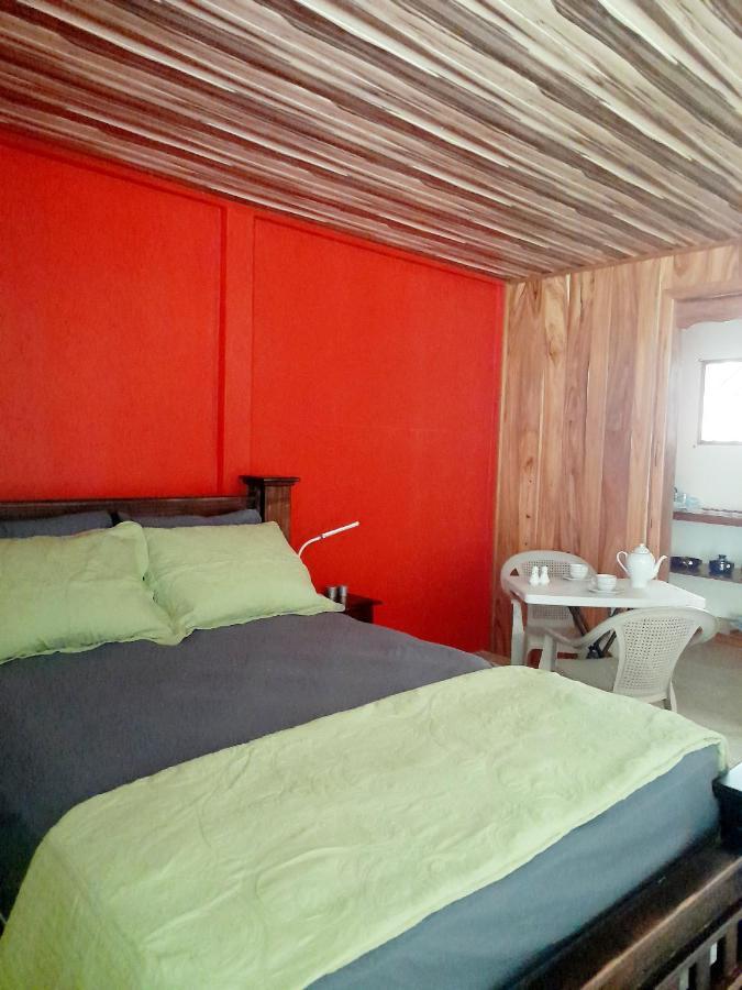Hostel Osa Tucan Drake Drakes Bay Værelse billede