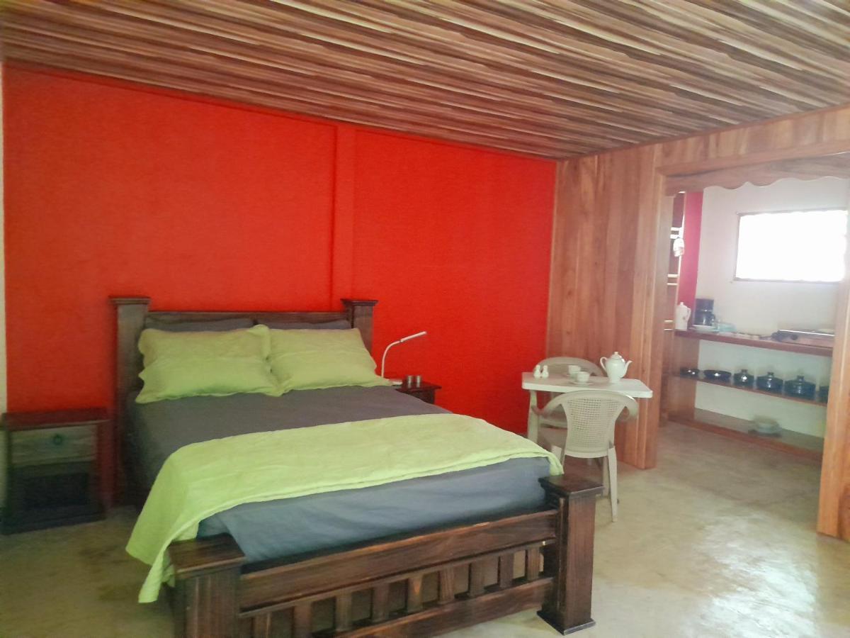 Hostel Osa Tucan Drake Drakes Bay Eksteriør billede
