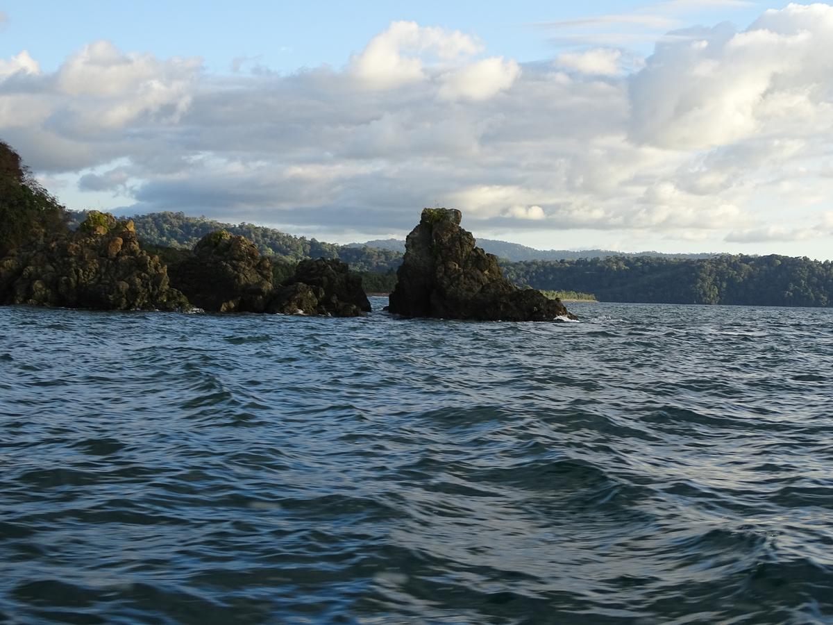 Hostel Osa Tucan Drake Drakes Bay Eksteriør billede