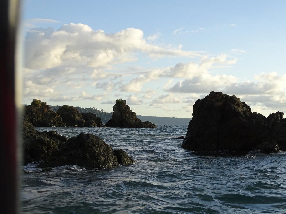 Hostel Osa Tucan Drake Drakes Bay Eksteriør billede